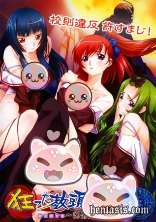 Заместитель ректора: Безумная школа / Kurutta Kyoutou: Danzai no Gakuen (2009г.)